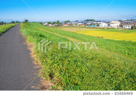 Near Tone Ozeki Early autumn scenery View from the bank of the Tone River towards Chiyoda Town 83888469