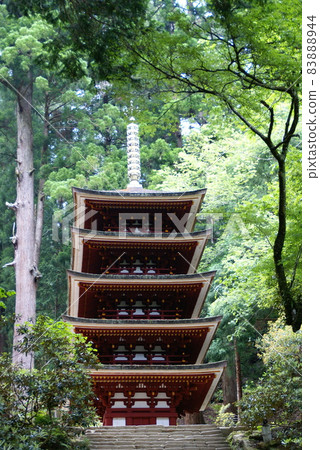 Muro-ji Temple Muro-ji Temple 83888944