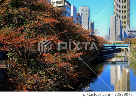 目黑一側的紅葉(托奈良橋附近) 目黑一側的紅葉(托奈良橋附近) 83889075