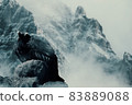 雪山禿鷹 83889088