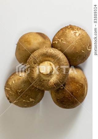 White background shiitake mushroom 83889314