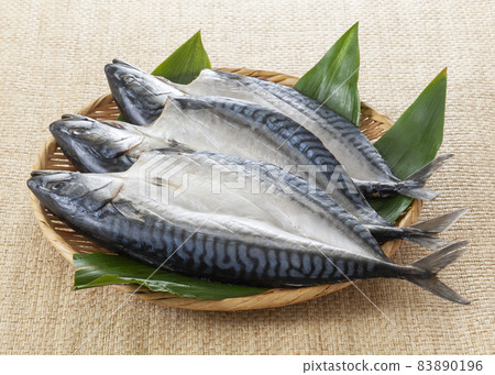 鯖魚開場 鯖魚開場 83890196
