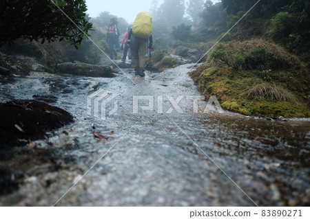 Hiking on a rainy day: A hiking trail with water flowing in the rain 83890271