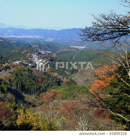 Yoshino-san autumn leaves Yoshino-san autumn leaves 83890326