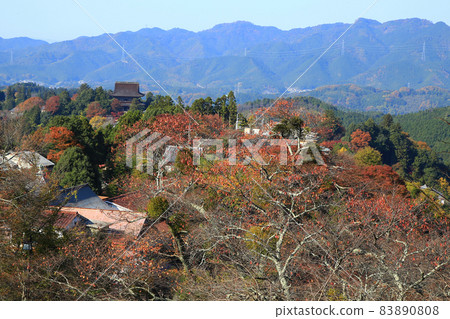 吉野聖秋葉 83890808