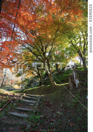 吉野聖秋葉 吉野聖秋葉 83890828