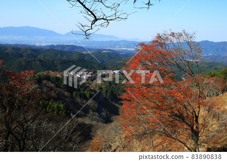 Yoshino-san autumn leaves Yoshino-san autumn leaves 83890838