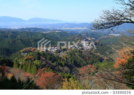 Yoshino-san autumn leaves 83890839