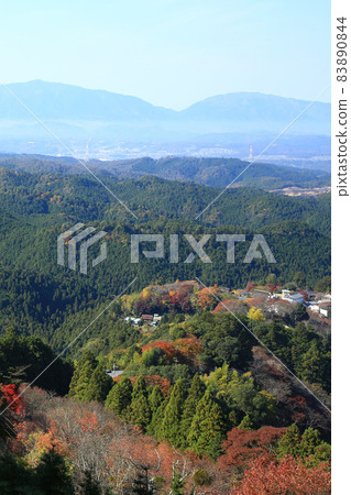 Yoshino-san autumn leaves Yoshino-san autumn leaves 83890844