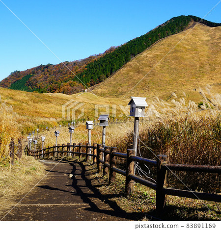 菅原高原Susuki 83891169