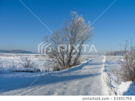 Winter rural road on a sunny frosty day. Czech Republic, Vysocina Highland region, Europe. High quality photo Winter rural road on a sunny frosty day. Czech Republic, Vysocina Highland region, Europe. High quality photo 83891768