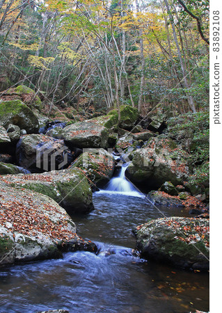 Rurikei Kyoto Prefecture Rurikei Kyoto Prefecture 83892108