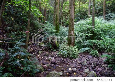 岩鶴城 10 岩鶴城 10 83892254