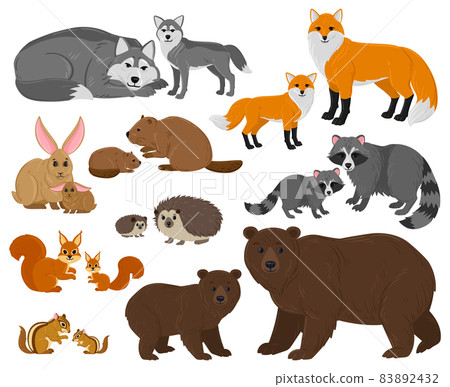 Cartoon forest woodland animals mothers with cute babies. Forest wild animals parent, woods fauna mothers and children vector illustration set. Animals mom and kids Cartoon forest woodland animals mothers with cute babies. Forest wild animals parent, woods fauna mothers and children vector illustration set. Animals mom and kids 83892432