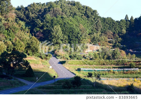 Sunrise scenery of Asuka village, Nara prefecture Sunrise scenery of Asuka village, Nara prefecture 83893665