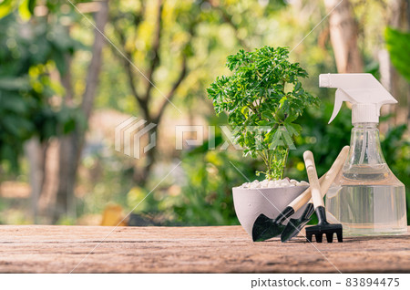 Planting trees in pots. Concept of love plants. Love the environment. Planting trees in pots. Concept of love plants. Love the environment. 83894475
