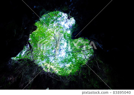 From Wilson's Stump 83895040