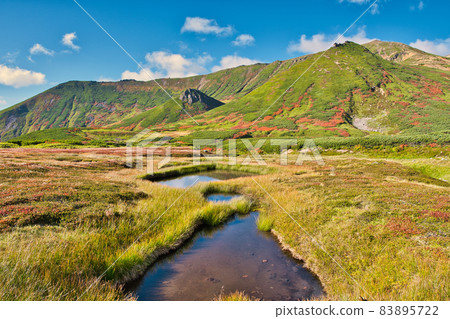 Tomadake的秋葉 83895722