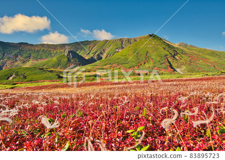 chinguruma的小應用 83895723