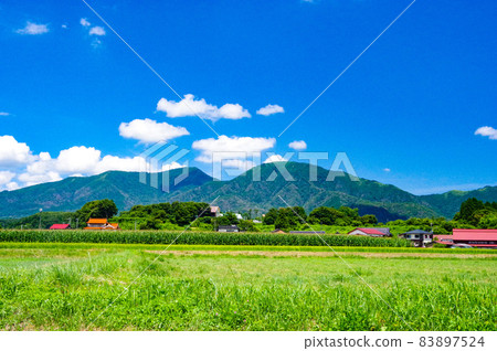 Clear meadow landscape 83897524