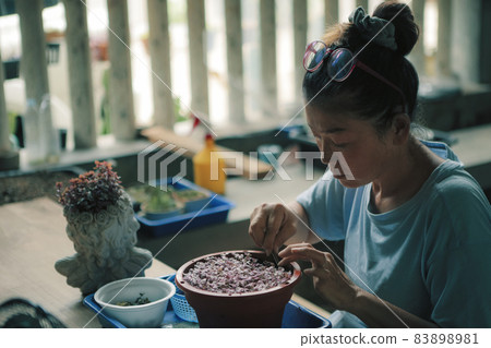 woman planting little plant at home living terrace 83898981