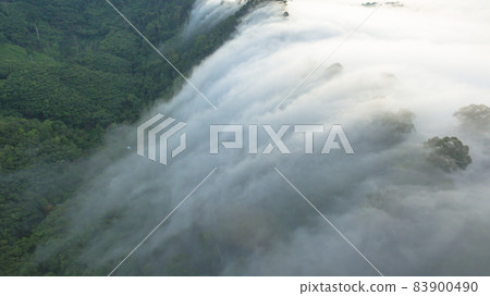 slow floating fog blowing cover on the top of mountain look like as a sea of mist. In the morning the cold weather is make floating fog on the mountain as a sea of mist white cloud in blue sky over slow floating fog blowing cover on the top of mountain look like as a sea of mist. In the morning the cold weather is make floating fog on the mountain as a sea of mist white cloud in blue sky over 83900490