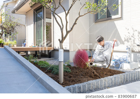 Landscaping craftsman planting trees in a detached garden Landscaping craftsman planting trees in a detached garden 83900687