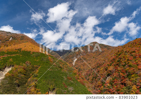 Hatanagi湖的秋葉 83901023