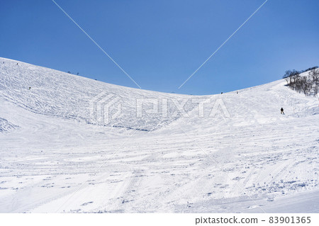 谷川雪景 83901365