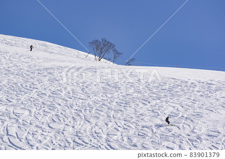 Tanigawa snow scene Tanigawa snow scene 83901379
