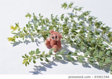 蓮花硫磺和紫色泰迪熊 83901566