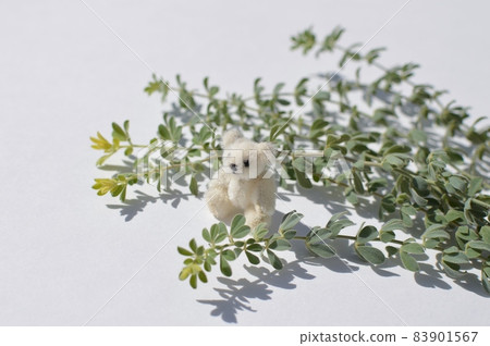 Lotus brimstone and a small white teddy bear 83901567
