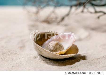 Summer sand sea beach with waves and seashell 83902013