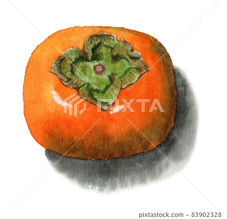Analog watercolor persimmon 83902328