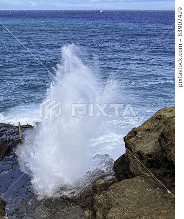 Surf rises thorugh famous blow-hole on coast of Oahu, Hawaii Surf rises thorugh famous blow-hole on coast of Oahu, Hawaii 83902429