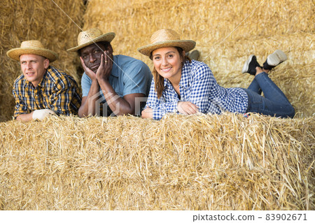 Cheerful farm workers resting on haystack during break Cheerful farm workers resting on haystack during break 83902671