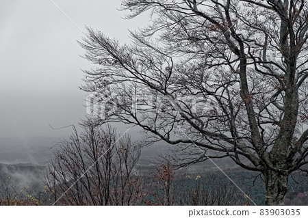 深秋八甲田 深秋八甲田 83903035