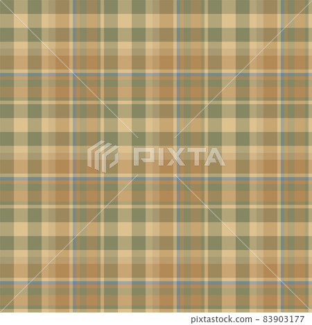 Plaid seamless pattern. Vector background of textile ornament. Flat fabric design. 83903177