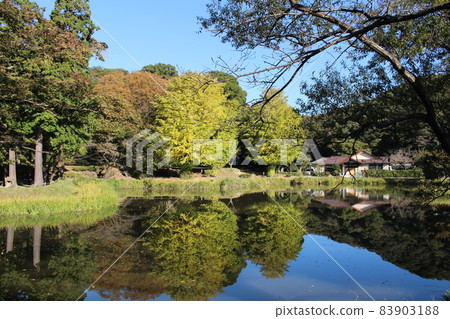 Shomyoji Garden of Autumn Leaves Water Mirror Kanazawa Bunko Kanazawa Ward, Yokohama City Main Hall, Kanagawa Prefecture Shomyoji Garden of Autumn Leaves Water Mirror Kanazawa Bunko Kanazawa Ward, Yokohama City Main Hall, Kanagawa Prefecture 83903188