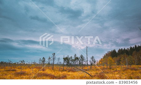 Berezinsky, Biosphere Reserve, Belarus. Autumn Landscape With Marsh Swamp. Time Lapse, Timelapse, Time-lapse 4K Berezinsky, Biosphere Reserve, Belarus. Autumn Landscape With Marsh Swamp. Time Lapse, Timelapse, Time-lapse 4K 83903456