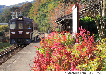 渡良瀨溪谷鐵路“11月上旬的上神颱站” 渡良瀨溪谷鐵路“11月上旬的上神颱站” 83903548