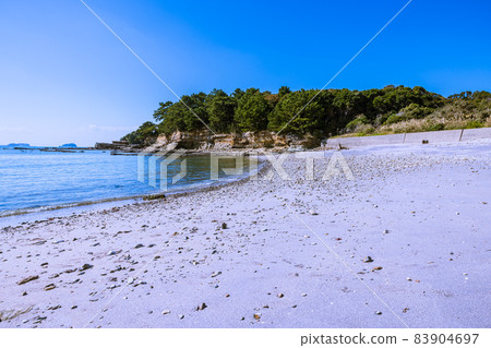 Niiya Coast Purple coast Niiya Coast Purple coast 83904697