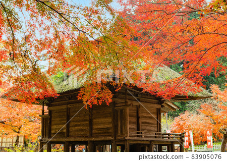 中尊寺紅葉與弁財天堂 中尊寺紅葉與弁財天堂 83905076