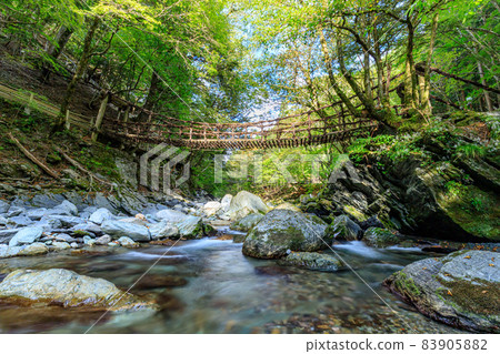 Oku Iya Double Kazura Bridge Onnabashi Miyoshi City, Tokushima Prefecture 83905882
