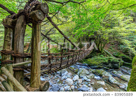 Oku Iya Double Kazura Bridge Onnabashi Miyoshi City, Tokushima Prefecture 83905889