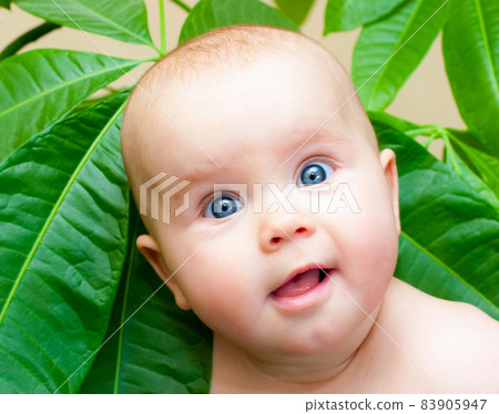 Baby girl looking out from green leaves 83905947