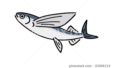 飛魚 83906314