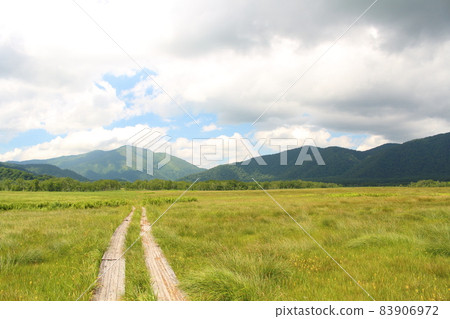 尾瀨國立公園的盛夏尾瀨原高原和濕地 83906972
