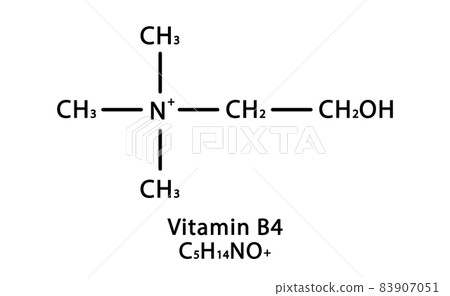Vitamin B4 Choline molecular structure. Vitamin B4 Choline skeletal chemical formula. Chemical molecular formulas 83907051
