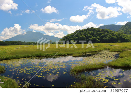 Midsummer Ozegahara Plateaus and Wetlands in Oze National Park Midsummer Ozegahara Plateaus and Wetlands in Oze National Park 83907077